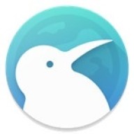 Kiwi浏览器(Kiwi Browser)