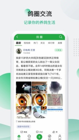 中国信鸽信息网手机版截图