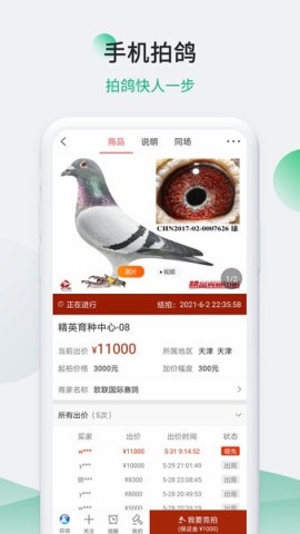 中国信鸽信息网手机版 第2张图