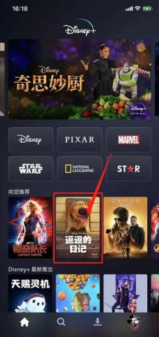 迪士尼流媒体平台(Disney+) 第1张图