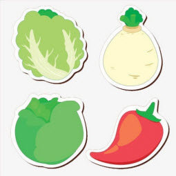 蔬菜全书封面icon