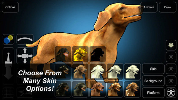模拟忠犬截图