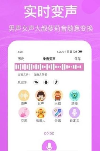 吃鸡音效修改器截图