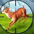 狙击普通的鹿安卓版