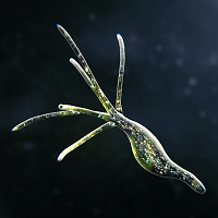 孢子模拟器封面icon