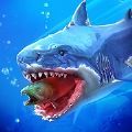 鲨鲨进化论封面icon