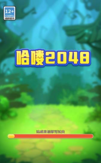 哈喽2048截图