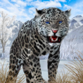 Snow Leopard(野生雪豹模拟器)中文正式版