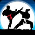 Karate Fighter : Real battles(空手道战士真正的格斗)免费版