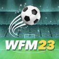 WFM(世界足球经理2023)世界杯模式手机版