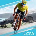 LCM2022(真实自行车队经理2022)正式版